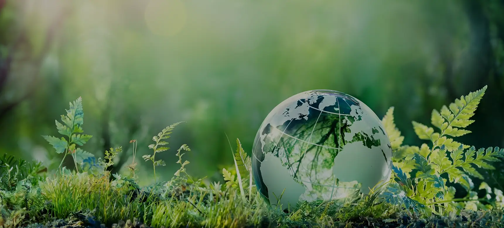 A globe is sitting in the grass with plants.